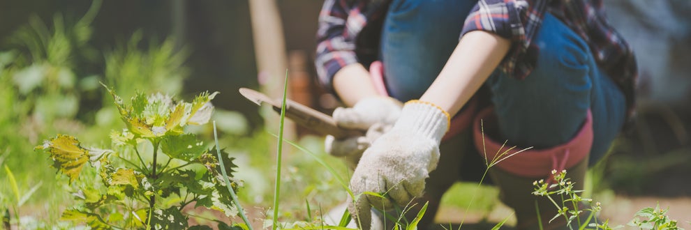 ざつそうくん無限人の画像